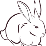 rabbit-1012595_640